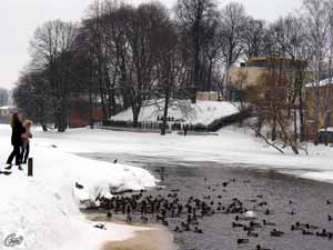 März 2005_Enten am Maaras dikis