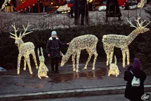 Weihnachten am Lido