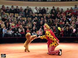 im zirkus Riga